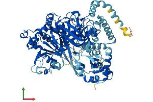 Protein Structure (PS) image for Acyl-CoA Synthetase Long-Chain Family Member 4 (ACSL4) (AA 1-711) protein (His tag) (ABIN7561721)