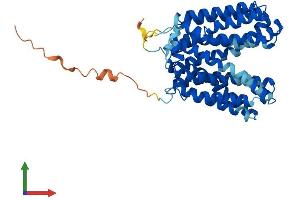 Protein Structure (PS) image for Solute Carrier Family 16, Member 13 (Monocarboxylic Acid Transporter 13) (SLC16A13) (AA 1-426) protein (His tag) (ABIN7549455)