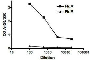Sandwich ELISA for detection of influenza A infection.