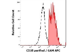 Separation of human CD35 positive lymphocytes (red-filled) from CD35 negative lymphocytes (black-dashed) in flow cytometry analysis (surface staining) of human peripheral whole blood stained using anti-human CD35 (E11) purified antibody (concentration in sample 3 μg/mL, GAM APC). (CD35 抗体)