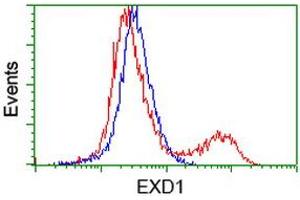 HEK293T cells transfected with either RC206223 overexpress plasmid (Red) or empty vector control plasmid (Blue) were immunostained by anti-EXD1 antibody (ABIN2454022), and then analyzed by flow cytometry. (EXD1 抗体)