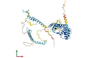 Protein Structure (PS) image for RRIO Kinase 3 (RIOK3) (AA 1-519) protein (His tag) (ABIN7561303)