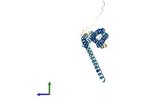 Protein Structure (PS) image for ORAI Calcium Release-Activated Calcium Modulator 2 (ORAI2) (AA 1-250) protein (His tag) (ABIN7558603)