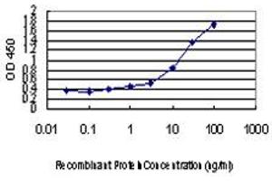 Detection limit for recombinant GST tagged SMAD3 is approximately 0. (SMAD3 抗体  (AA 1-110))