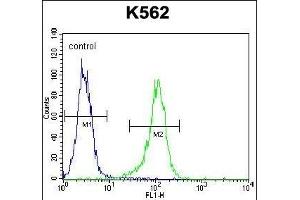 LIPC Antibody (Center) (ABIN656217 and ABIN2845534) flow cytometric analysis of K562 cells (right histogram) compared to a negative control cell (left histogram).