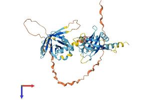 PTOV1 Protein (AA 1-416) (His tag)