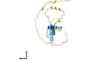 Protein Structure (PS) image for Scleraxis (SCXA) (AA 1-207) protein (His tag) (ABIN7557810)
