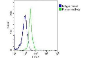 Flow Cytometry (FACS) image for anti-Caspase 8 (CASP8) (AA 427-461), (C-Term) antibody (ABIN6243617)