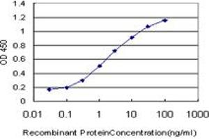 Detection limit for recombinant GST tagged JAG2 is approximately 0. (JAG2 抗体  (AA 121-210))