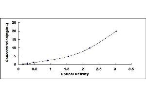 Typical standard curve (SULF2 ELISA 试剂盒)