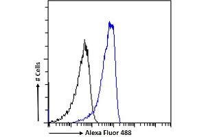 Flow Cytometry (FACS) image for anti-serpin Peptidase Inhibitor, Clade I (neuroserpin), Member 1 (SERPINI1) (C-Term) antibody (ABIN185373)