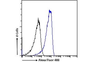 (ABIN185373) Flow cytometric analysis of paraformaldehyde fixed HeLa cells (blue line), permeabilized with 0. (Neuroserpin 抗体  (C-Term))