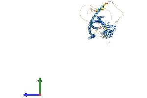 AlphaFold protein structure predicition of Mouse Recombinant Lrrcc1 Protein, UniprotID Q69ZB0