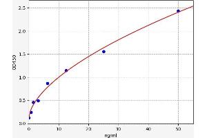 Typical standard curve