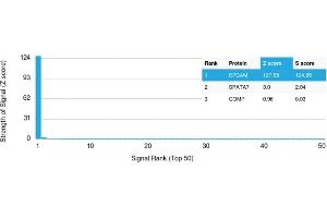 Specificity of ABIN6383801 to EpCAM was tested on a human protein array, showing monospecificity against >19,000 full-length human proteins.