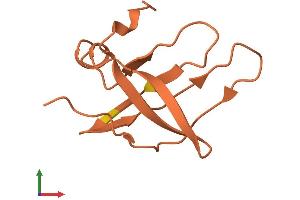 Protein Structure (PS) image for Kv Channel Interacting Protein 3, Calsenilin (KCNIP3) (AA 1-89) protein (Fc Tag) (ABIN7562788)