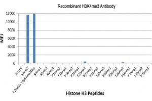 The recombinant H3K4me3 antibody specifically reacts to Histone H3 trimethylated at Lysine 4 (K4me3). (Recombinant Histone 3 抗体  (3meLys4))