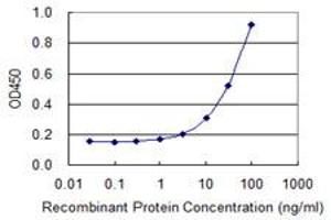 Detection limit for recombinant GST tagged TK1 is 1 ng/ml as a capture antibody. (TK1 抗体  (AA 1-234))