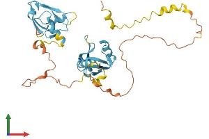 Protein Structure (PS) image for Solute Carrier Family 9 (Sodium/hydrogen Exchanger), Member 3 Regulator 2 (SLC9A3R2) (AA 1-337) protein (His tag) (ABIN7561512)