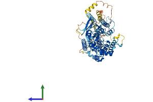 AlphaFold protein structure predicition of Mouse Recombinant Hgsnat Protein, UniprotID Q3UDW8 (HGSNAT Protein (AA 1-656) (His tag))