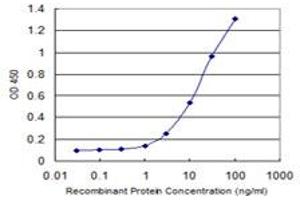 Detection limit for recombinant GST tagged CAMK1D is 0. (CAMK1D 抗体  (AA 1-95))