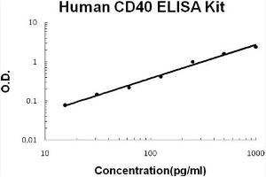 Human CD40/TNFRSF5 Accusignal ELISA Kit Human CD40/TNFRSF5 AccuSignal ELISA Kit standard curve. (CD40 ELISA 试剂盒)