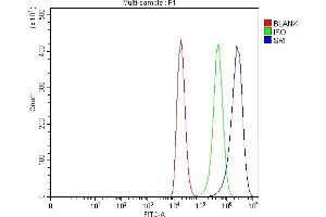 Flow Cytometry analysis of 293T cells using anti-SRI antibody (ABIN7599836). (SRI 抗体  (AA 121-161))