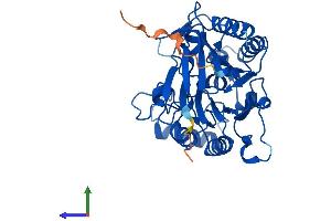 Protein Structure (PS) image for Chromosome 17 Open Reading Frame 48 (C17orf48) (AA 1-342) protein (His tag) (ABIN7551953)