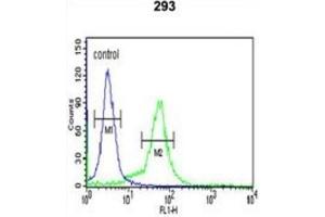 Flow Cytometry (FACS) image for anti-BTB (POZ) Domain Containing 1 (BTBD1) antibody (ABIN3003140) (BTBD1 抗体)