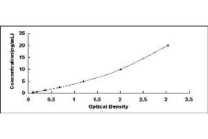 Typical standard curve (Major Basic Protein ELISA 试剂盒)