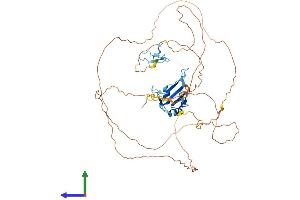 AlphaFold protein structure predicition of Human Recombinant FUS Protein, UniprotID P35637