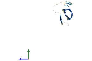 AlphaFold protein structure predicition of Mouse Recombinant Golga1 Protein, UniprotID Q9CW79