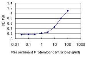 Detection limit for recombinant GST tagged ATG3 is approximately 1ng/ml as a capture antibody. (ATG3 抗体  (AA 1-100))