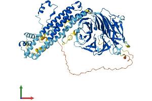 Protein Structure (PS) image for Anaphase Promoting Complex Subunit 4 (ANAPC4) (AA 1-807) protein (His tag) (ABIN7564793)