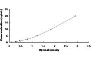 Typical standard curve (ALOXE3 ELISA 试剂盒)