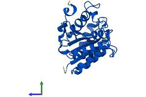 Protein Structure (PS) image for NQO2 (NQO2) (AA 1-231) protein (His tag) (ABIN7561536)