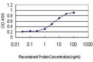 Detection limit for recombinant GST tagged RNASEH1 is approximately 0. (Ribonuclease H1 抗体  (AA 189-286))