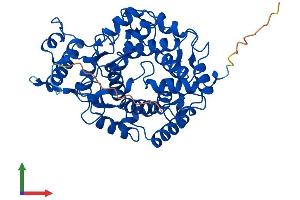 AlphaFold protein structure predicition of Mouse Recombinant Fntb Protein, UniprotID Q8K2I1 (FNTB Protein (AA 1-437) (His tag))