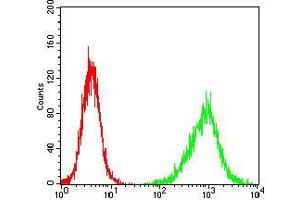 Flow cytometric analysis of NIH/3T3 cells using HH3 mouse mAb (green) and negative control (red). (Prokineticin Receptor 2 抗体  (acetylated))