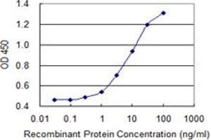 Detection limit for recombinant GST tagged PRF1 is 0. (Perforin 1 抗体  (AA 461-555))