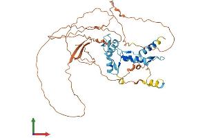 Protein Structure (PS) image for YY1 Transcription Factor (YY1) (AA 1-414) protein (His tag) (ABIN7555932)