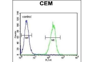 ZMYND10 Antibody (Center) (ABIN656033 and ABIN2845406) flow cytometric analysis of CEM cells (right histogram) compared to a negative control cell (left histogram). (ZMYND10 抗体  (AA 321-348))