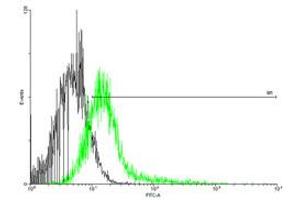 FACS analysis of negative control 293 cells (Black) and IFNGR1 expressing 293 cells (Green) using IFNGR1 purified MaxPab mouse polyclonal antibody. (IFNGR1 抗体  (AA 1-489))