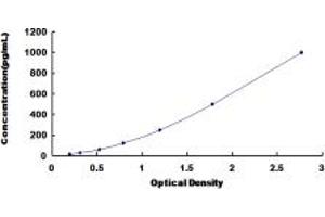 Typical standard curve (FGF3 ELISA 试剂盒)