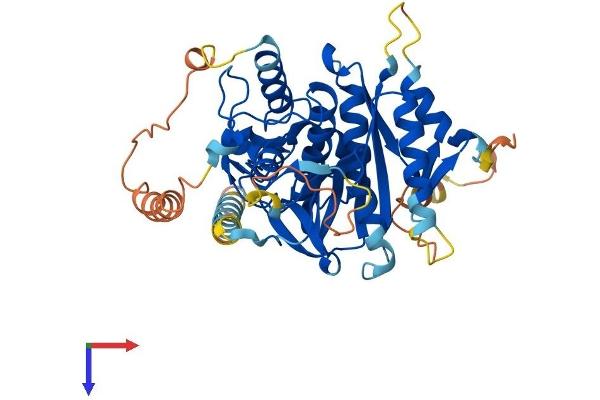 ATG4C Protein (AA 1-458) (His tag)