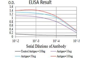 Black line: Control Antigen (100 ng),Purple line: Antigen (10 ng), Blue line: Antigen (50 ng), Red line:Antigen (100 ng) (BCL9L 抗体  (AA 606-751))