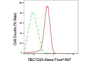 anti-TBC1 Domain Family, Member 23 (TBC1D23) antibody