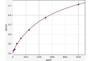 Cathepsin S (CTSS) ELISA Kit