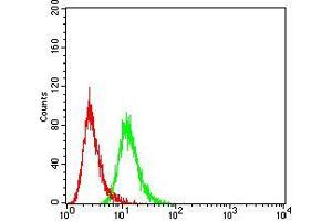 Flow Cytometry (FACS) image for anti-Sirtuin 3 (SIRT3) (AA 155-290) antibody (ABIN5542439)