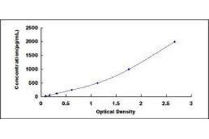 Typical standard curve (NAMPT ELISA 试剂盒)